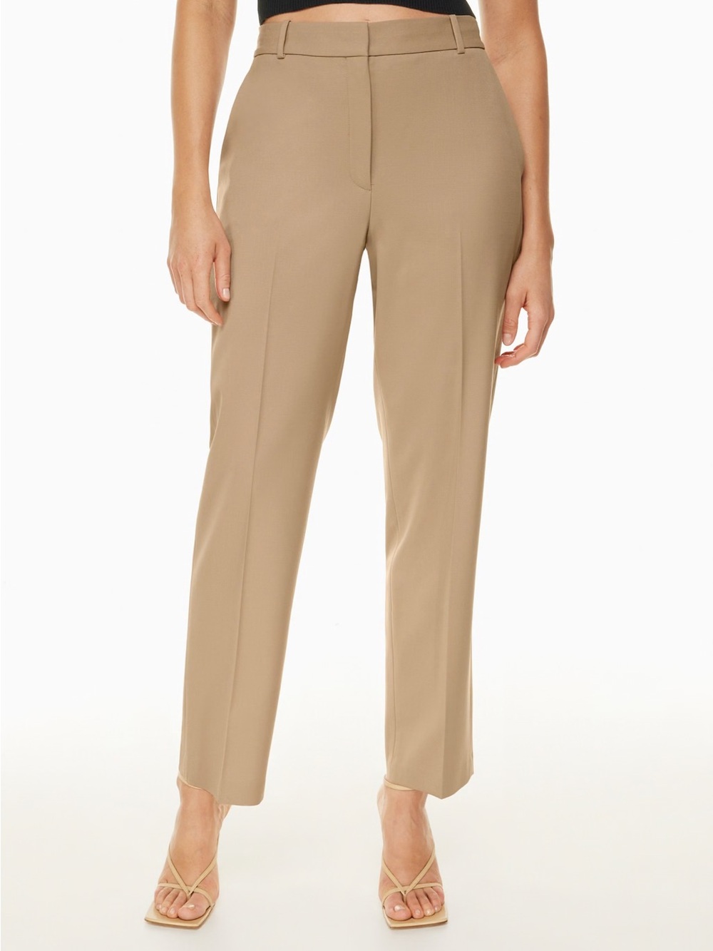 Aritzia Trousers